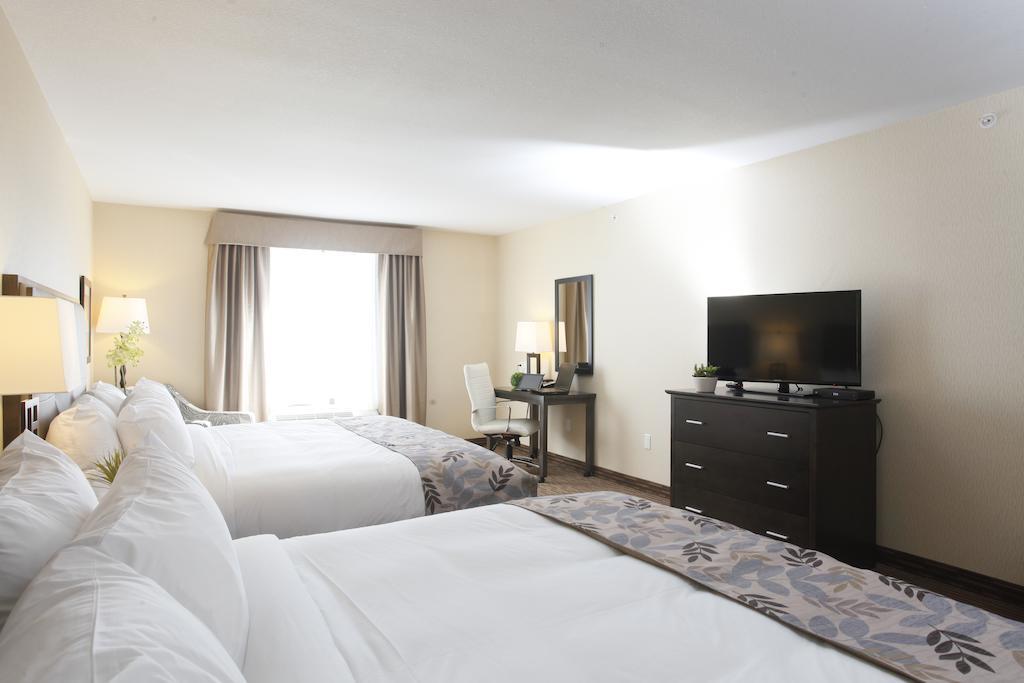 Pomeroy Inn & Suites At Olds College Room photo